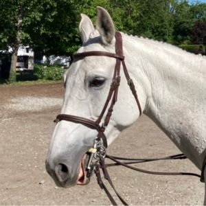 Meet your Posher, Kailyn